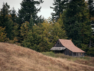 Beskid wyspowy. Góry. Podróże. Wyprawa górska. Wędrówka.  © Karolina