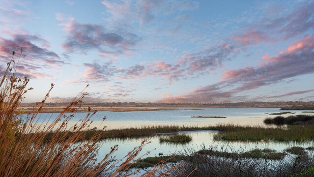 wetlands during sunset showing the marsh and water in Bolsa Chica Ecological Reserve
