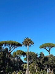 Obraz premium Greece