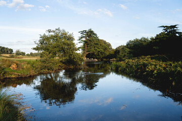 Still river and mirror effect at Bradgate Park