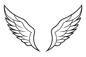 Obraz premium Eagle wings