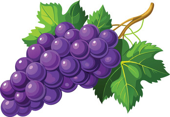Bunch of a grapes, vector illustration 