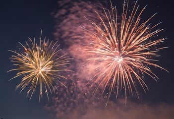 Fireworks in the night sky