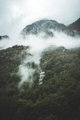 Moody green forest landscape with waterfall on a foggy day