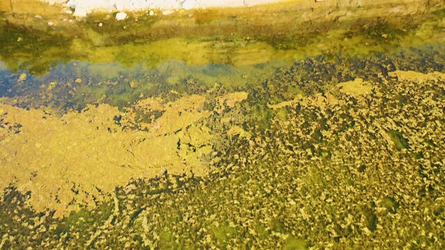 Aerial 4K video from drone to Pakri Cliff in Paldiski. Estonia, Paldiski