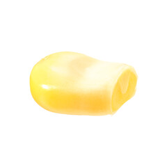 One fresh corn kernel isolated on white