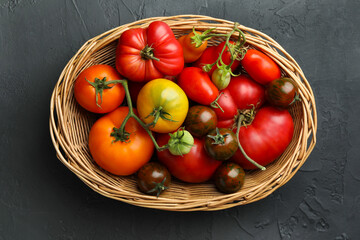 Different ripe and unripe tomatoes in wicker basket on grey textured table, top view