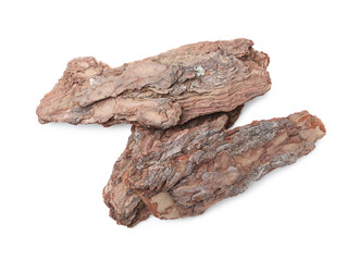 Pieces of tree bark on white background, top view