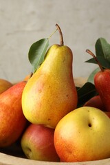 Many ripe juicy pears in bowl, closeup