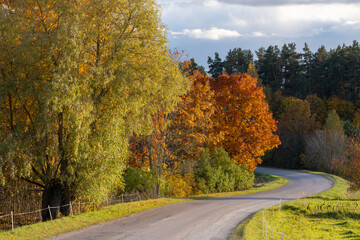 road in autumn