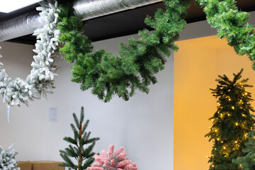 Fototapeta premium A row of Christmas trees are displayed in a room, with some of them being fake