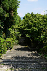 西賀茂正伝寺の境内風景