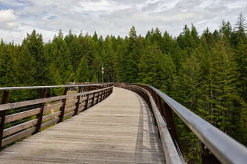 People walking on the kinsol trestle in cowichan valley, british colombia, vancouver island, canada	
