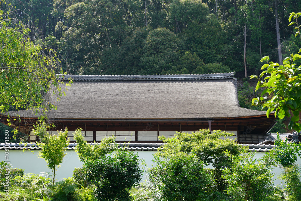 Wall mural 西賀茂正伝寺の境内風景