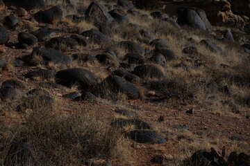 rocks on ground