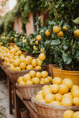 Ripe yellow lemons in wicker baskets at the farmer's market