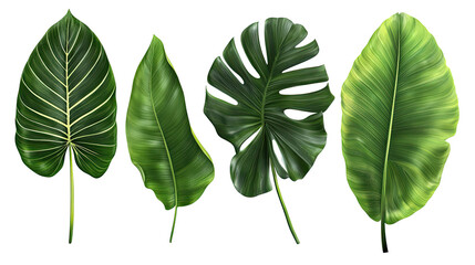 Fototapeta premium Photorealistic Palm Leaves Collection Isolated on a White Background Generative AI