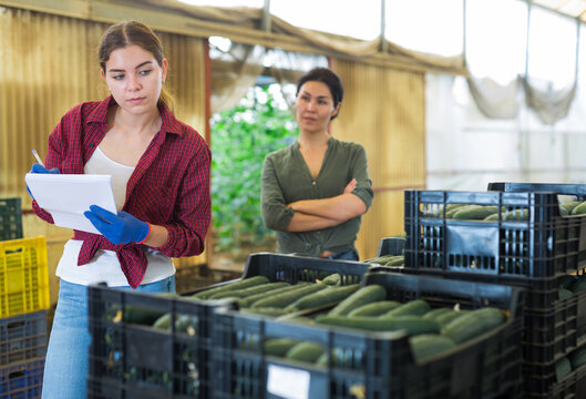 Woman are looking at documents on sorting cucumbers