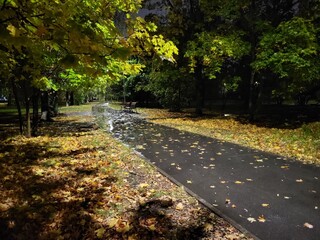 path in autumn park