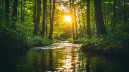 Obraz premium Serene Sunrise Over Forest Stream