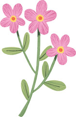 Cute Plant with Pink Cluster Flowers, hand-drawn digital painting illustration