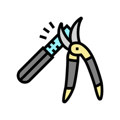 pruning shears sharpening garden maintenance color icon vector. pruning shears sharpening garden maintenance sign. isolated symbol illustration