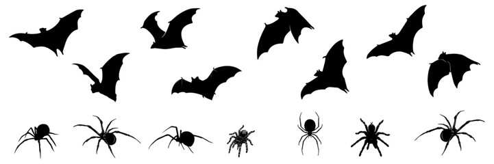 bat and spider silhouette illustration for halloween