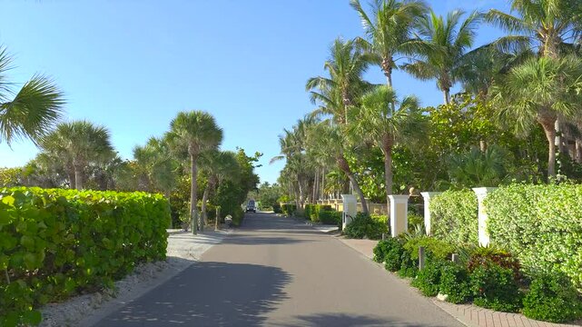 Car point of view driving on scenic road in sunny Florida. Casey Key coastal residential community picturesque streets.