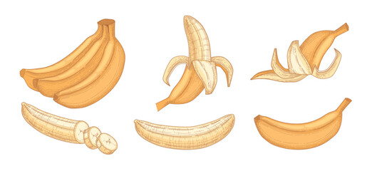 Cartoon bananas. Peel banana, yellow fruit and bunch of bananas. Tropical fruits, banana snack or vegetarian nutrition. Isolated vector illustration icons set on white background