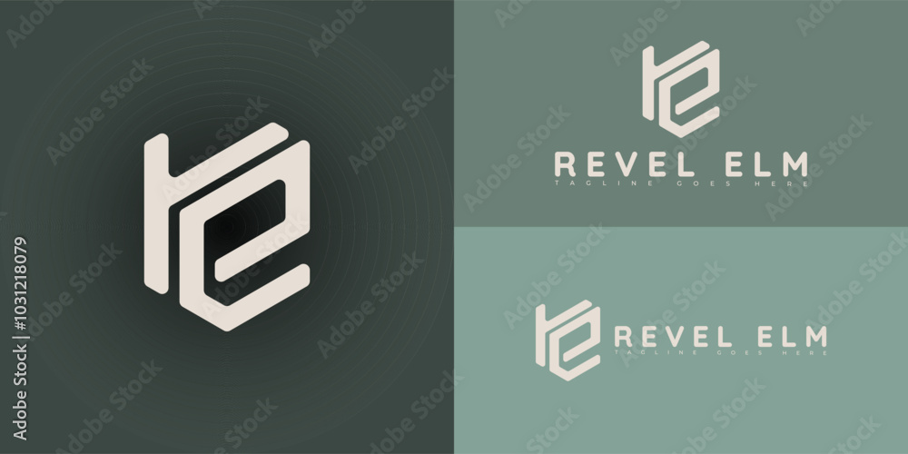 Poster modern initial hexagon vector letter re or er logo in white color isolated on multiple background co