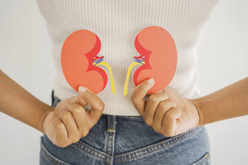 Hands holding kidney shaped paper, world kidney day, Organ Donor Day, Chronic kidney disease...