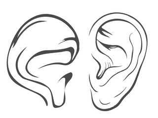 drawing illustration of a continuous line showing the human ear.
