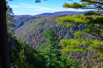 Early Fall View of the Pine River Gorge, or the Grand Canyon of Pennsylvania, at the Leonard Harrison State Park, in Watson Township, Pennsylvania.