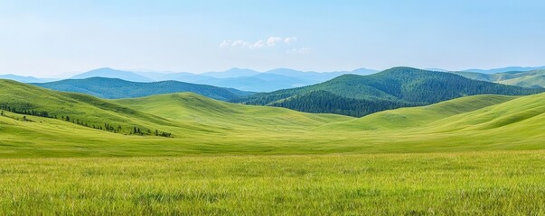 Obraz premium High-altitude plateau with patches of vibrant green grass, soft rolling hills, and a clear, uninterrupted horizon under a vast blue sky, plateau grass horizon