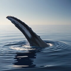 Obraz premium An ultra-realistic shot of a southern baleen whale's large fin emerging from the water, taken from a distance.