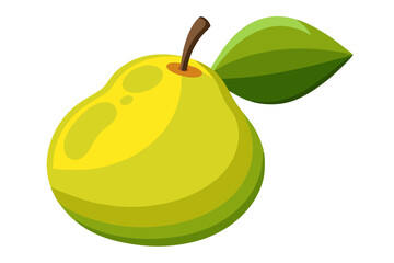 Beautiful pear fruit vector art illustration with white background 
