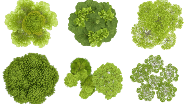 Diverse Green Tree Top Views Showcasing Unique Patterns and Textures Generative AI