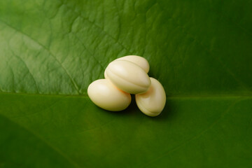 white softgels herbal medicine on leaves, capsules with vitamin E, Cod liver oil, DHA, Fish oil...
