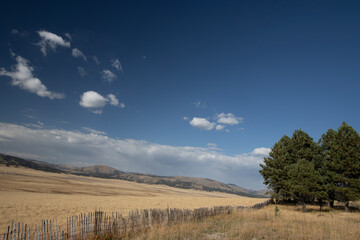 Grand view of the Valles Caldera National Preserve on a gorgeous day in New Mexico