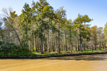 A view of traditional islands at Tigre delta in Argentina, river system of the Parana Delta North...