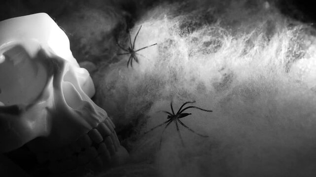 A haunting arrangement showcases a skull skeleton alongside a spider entangled in webs, all enveloped in a mysterious mist, enhancing the Halloween vibe. Theme of horror, mysticism and oblivion