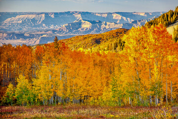 The Bookcliffs and Roan Plateau from atop the Grand Mesa of Colorado