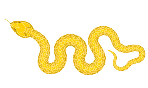 A simple cartoon snake pattern