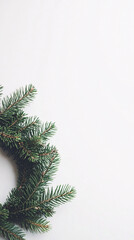 green pine branches on white background christmas holiday minimalist mockup  design concept  christmas tree