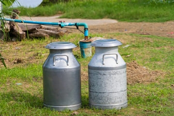 Morning Delivery: Fresh Milk in Stainless Steel Can