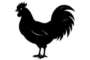 Rooster Silhouette, chicken silhouette vector
 



