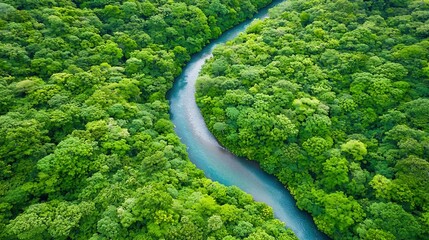 A breathtaking aerial view of a lush green rainforest with a crystal-clear river flowing through it, showcasing the diverse flora and fauna of the region. The sunlight filters through the trees,