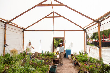 Two people are standing in a greenhouse with plants. The greenhouse is white and has a roof. The plants are in pots and there are several of them