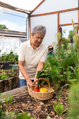 A woman is picking vegetables from a garden. She is holding a basket and has a smile on her face