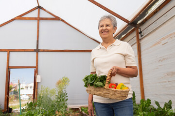 A woman is holding a basket of vegetables in a greenhouse. She is smiling and she is enjoying her time